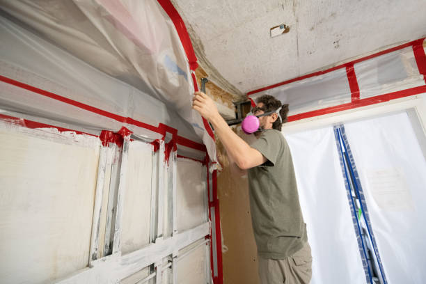 Mold Documentation for Insurance Claims in Maplewood, MN